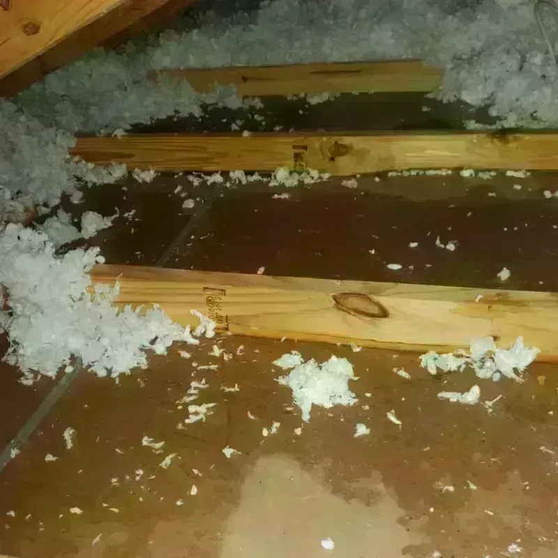 Attic Water Damage in Lakeside, TX