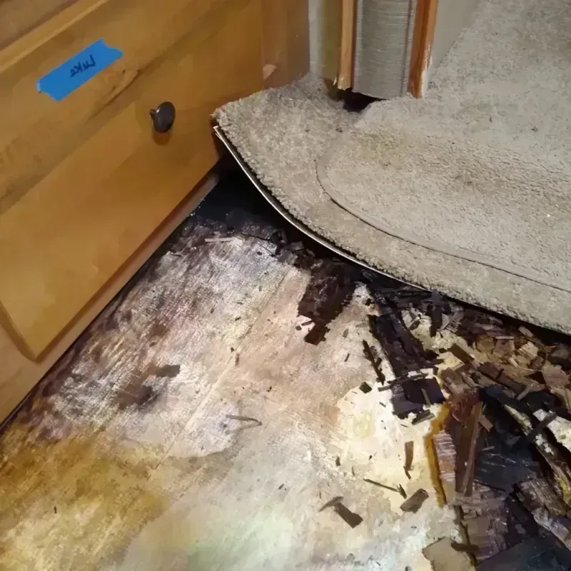 Wood Floor Water Damage in Lakeside, TX